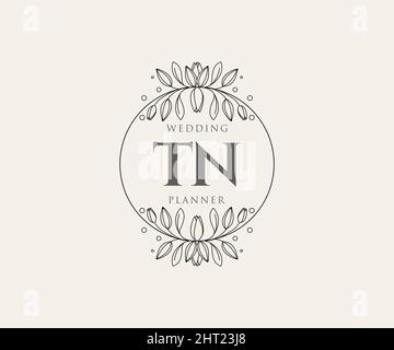 TN Initialen Brief Hochzeit Monogramm Logos Kollektion, handgezeichnete moderne minimalistische und florale Vorlagen für Einladungskarten, Save the Date, elegant Stock Vektor