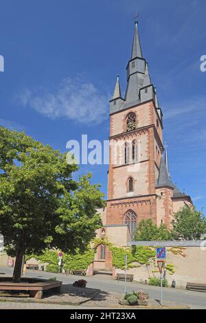 Gotische Kirche St. Valentinus und Dionysius, Kiedrich, Rheingau, Hessen, Deutschland Stockfoto