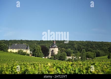 Schloss Vollrads, in Oestrich-Winkel im Rheingau, Hessen, Deutschland Stockfoto