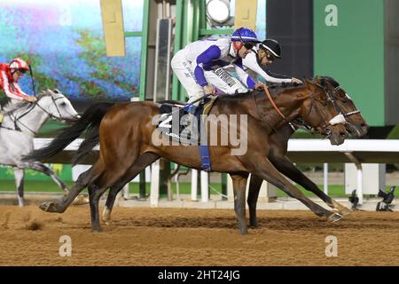 Riad, USA. 26.. Februar 2022. 26. Februar 2022: Hadi De Carrere #2 mit Olivier Peslier gewinnt am 26.. Februar 2022 auf der King Abdulaziz Racecourse in Riad, Saudi-Arabien, den Obaiya Arabian Classic. Shamela Hanley/Eclipse Sportswire/CSM/Alamy Live News Stockfoto