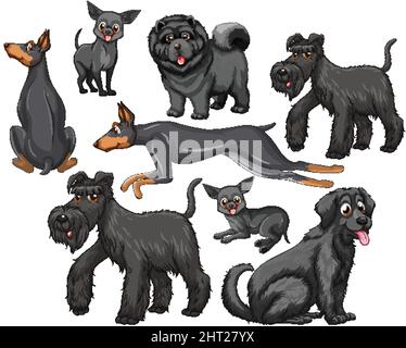 Set von schwarzen Hunden in verschiedenen Rassen auf weißem Hintergrund Illustration Stock Vektor