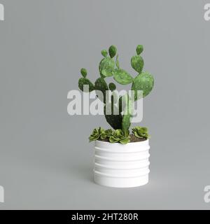 Moderner weißer Topfkaktus und Sukkulente isoliert auf grauem Hintergrund Stockfoto