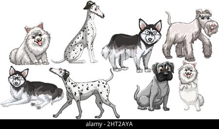 Set von weißen Hunden in verschiedenen Rassen auf weißem Hintergrund Illustration Stock Vektor