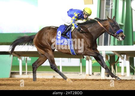 Riad, USA. 26.. Februar 2022. 26. Februar 2022: Pinehurst #9 mit Flavien Prat gewinnt am 26.. Februar 2022 auf der King Abdulaziz Racecourse in Riad, Saudi-Arabien, das Saudi-Derby. Shamela Hanley/Eclipse Sportswire/CSM/Alamy Live News Stockfoto