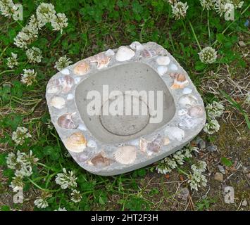 Betonschale mit Muschelschale und Muscheln Stockfoto