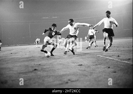 British Home Championship-Spiel im Wembley Stadium. England 2 gegen Nordirland 1. George Best am Ball, herausgefordert von George Cohen aus England und beobachtet von Jack Charlton. 10.. November 1965. Stockfoto