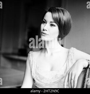 Die Parisienne-Schauspielerin Claudine Auger, die Domino im James Bond-Film Thunderball spielen wird, der hier während eines Interviews mit dem Daily Mirror-Showbusiness-Reporter Donald Zec zu sehen ist. 17.. Februar 1965 Stockfoto