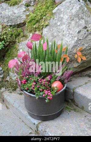 Blumengruppe auf Steintreppen Stockfoto