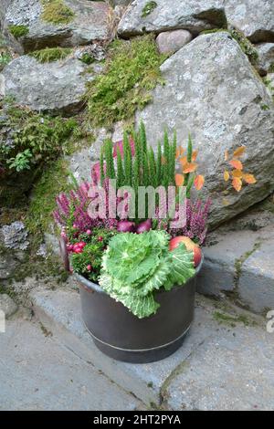 Blumengruppe auf Steintreppen Stockfoto