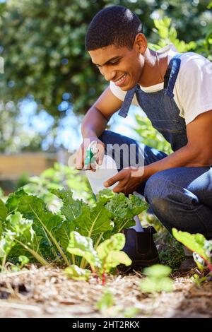 Gartenarbeit war schon immer ein Hobby. Ein kurzer Schuss eines hübschen jungen Mannes, der in seinem Garten hockte und seine Pflanze mit Wasser besprühte. Stockfoto