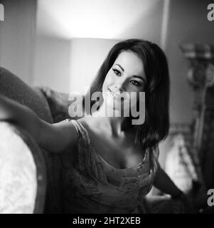 Die Parisienne-Schauspielerin Claudine Auger, die Domino im James Bond-Film Thunderball spielen wird, der hier während eines Interviews mit dem Daily Mirror-Showbusiness-Reporter Donald Zec zu sehen ist. 17.. Februar 1965 Stockfoto