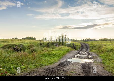Off-Road nach Regen auf einer unbefestigten Straße, die in die Ferne unter einem blauen Himmel an einem grünen Feld vorbei geht. Stockfoto