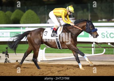 Riad, USA. 26.. Februar 2022. 26. Februar 2022: Dancing Prince #3 mit Christophe Lemaire gewinnt am 26.. Februar 2022 auf der King Abdulaziz Racecourse in Riad, Saudi-Arabien, den Riyadh Dirt Sprint am Saudi-Cup Day. Shamela Hanley/Eclipse Sportswire/CSM/Alamy Live News Stockfoto