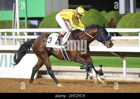 Riad, USA. 26.. Februar 2022. 26. Februar 2022: Dancing Prince #3 mit Christophe Lemaire gewinnt am 26.. Februar 2022 auf der King Abdulaziz Racecourse in Riad, Saudi-Arabien, den Riyadh Dirt Sprint am Saudi-Cup Day. Shamela Hanley/Eclipse Sportswire/CSM/Alamy Live News Stockfoto