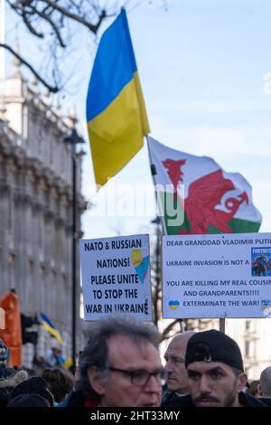 London, Großbritannien, 26.. Februar 2022, Anti-Kriegs-Demonstranten, die mit ukrainischen Fahnen drapiert waren, waren Teil von Hunderten, die sich in Whitehall bei einer Kundgebung und Demonstration versammelten Stockfoto
