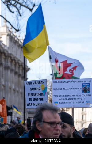London, Großbritannien, 26.. Februar 2022, Anti-Kriegs-Demonstranten, die mit ukrainischen Fahnen drapiert waren, waren Teil von Hunderten, die sich in Whitehall bei einer Kundgebung und Demonstration versammelten Stockfoto