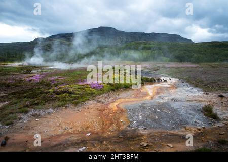 Das Haukadalur-Tal in Island, Heimat von Geysire und heißen Quellen Stockfoto