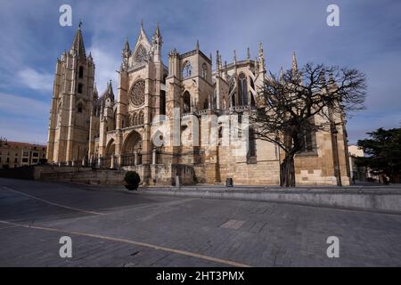 Catedral de Santa María de Regla de León Stockfoto