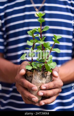 Hoffnung der Welt in der Handfläche meiner Hände. Kurzer Schuss eines jungen Mannes, der eine Topfpflanze hält. Stockfoto