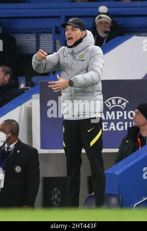 London, Großbritannien. 26.. Februar 2022. Chelsea-Manager Thomas Tuchel während des UEFA Champions League-Spiels zwischen Chelsea und Lille auf der Stamford Bridge, London, England, am 22. Februar 2022. Foto von Ken Sparks. Nur zur redaktionellen Verwendung, Lizenz für kommerzielle Nutzung erforderlich. Keine Verwendung bei Wetten, Spielen oder Veröffentlichungen einzelner Clubs/Vereine/Spieler. Kredit: UK Sports Pics Ltd/Alamy Live Nachrichten Stockfoto