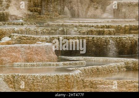 Travertin-Terrassen, die Kalziumkarbonat-Ablagerungen gefärbt grün, orange, braun und rot durch Algen in den warmen Wasserbecken. Mammoth Hot Springs Stockfoto