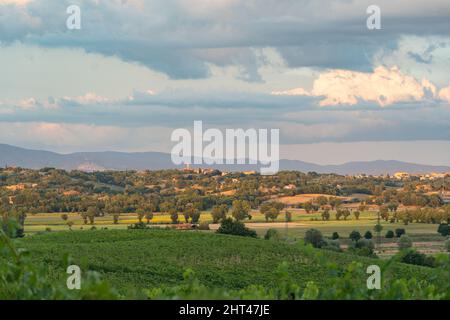 Foto einer Landschaft, aufgenommen in der Toskana, Italien Stockfoto