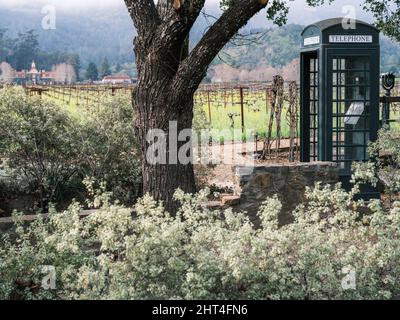 Eine malerische Weinlage mit einer altmodischen Telefonbox, Napa Valley, Kalifornien. Stockfoto