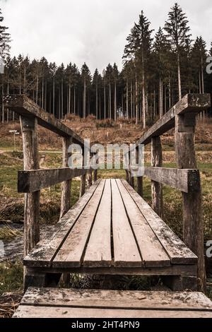 A closeup of a wooden bridge in a forest Stockfoto