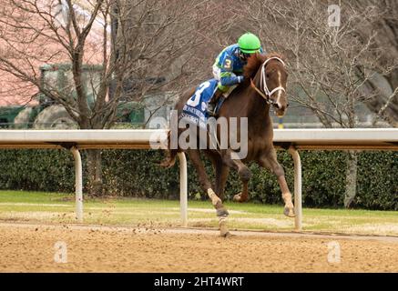 Hot Springs, Arkansas, USA. 26.. Februar 2022. 26. Februar 2022: Secret Oath #3 unter Jockey Luis Contreras gewinnt am 26.. Februar 2022 am Rebel Stakes Day im Oaklawn Racing Casino Resort in Hot Springs, Arkansas, die Honeybee Stakes (Klasse 3). Carson Dennis/Eclipse Sportswire/CSM/Alamy Live News Stockfoto