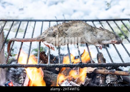 Eine Ratte über einem Feuer wird auf dem Gitter in einer verschneiten Landschaft gegrillt, Nahaufnahme. Stockfoto