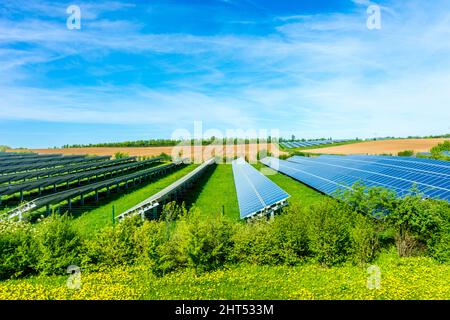 Landschaft von Sonnenkollektoren auf einem grünen Feld unter dem Sonnenlicht in Frankfurt, Deutschland Stockfoto