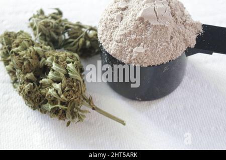 Nahaufnahme von Medikamenten mit Knospen und Pulver Stockfoto
