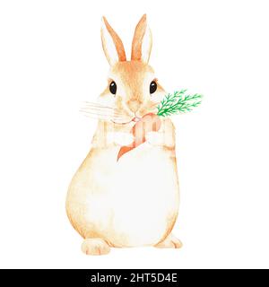 Kaninchen mit Karotte. Aquarelldarstellung. Isoliert auf weißem Hintergrund. Für Ihre Gestaltung von Stoffen, Grußkarten, Geschenkverpackungen, Papeterie. Stockfoto
