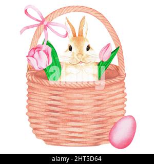 Korb mit Tulpe und Hase. Aquarell Vintage Illustration. Isoliert auf weißem Hintergrund. Für Ihr Design. Stockfoto