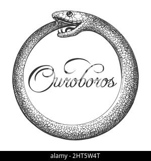 Tattoo of Ouroboros Snake Altes esoterisches Symbol in Gravurstil auf weiß isoliert gezeichnet. Vektortätowierung. Stock Vektor