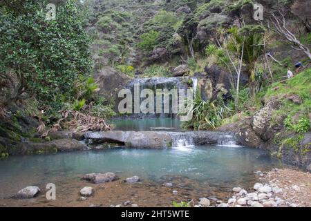 Der Blick auf die Wainamu oder Waitohi Wasserfälle, Neuseeland. Stockfoto