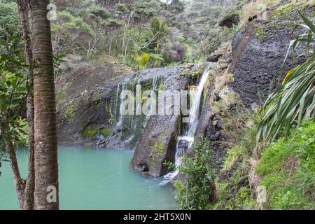 Der Blick auf die Wainamu oder Waitohi Wasserfälle, Neuseeland. Stockfoto