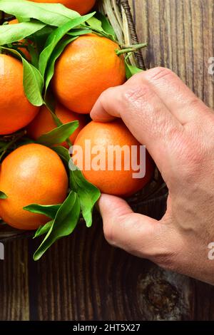 Nahaufnahme einer erwachsenen Hand, die eine Mandarine aus einem Korbkorb auf einem Holztisch aufnimmt Stockfoto