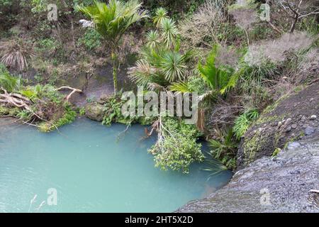 Der Blick auf die Wainamu oder Waitohi Wasserfälle, Neuseeland. Stockfoto