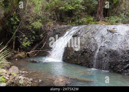 Der Blick auf die Wainamu oder Waitohi Wasserfälle, Neuseeland. Stockfoto
