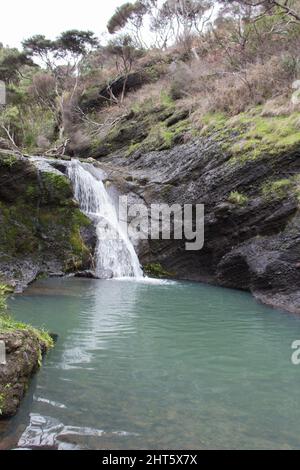 Der Blick auf die Wainamu Wasserfälle, Neuseeland. Stockfoto