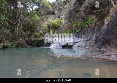 Der Blick auf die Wainamu Wasserfälle, Neuseeland. Stockfoto