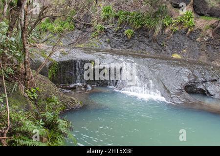 Der Blick auf die Wainamu Wasserfälle, Neuseeland. Stockfoto