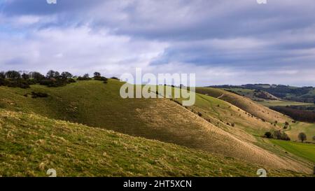 Blick über die Pewsey Downs von der Spitze des Knap Hügels in der Nähe von Marlborough Wiltshire Südwesten Englands Stockfoto