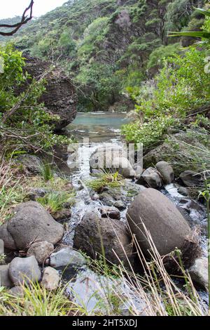 Der Blick auf die Wainamu Wasserfälle, Neuseeland. Stockfoto
