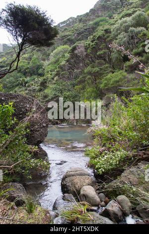 Der Blick auf die Wainamu Wasserfälle, Neuseeland. Stockfoto