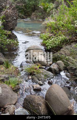 Der Blick auf die Wainamu Wasserfälle, Neuseeland. Stockfoto
