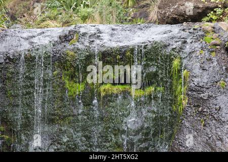 Der Blick auf die Wainamu Wasserfälle, Neuseeland. Stockfoto