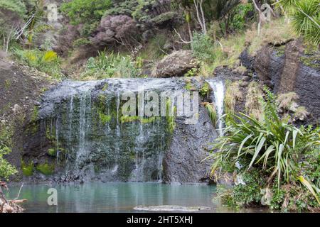 Der Blick auf die Wainamu Wasserfälle, Neuseeland. Stockfoto