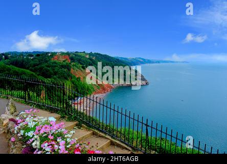 Eine Landschaft am Strand von Oddicombe in der Nähe von Babbacombe Stockfoto